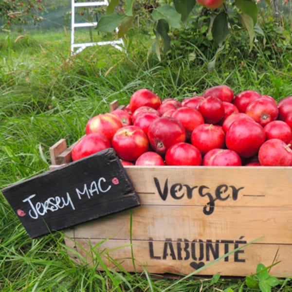 verger_labonte_1