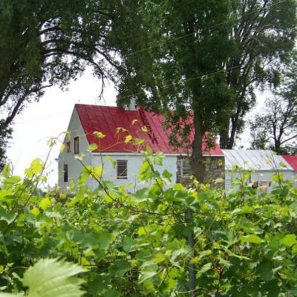 vignoble_bouche_art_1