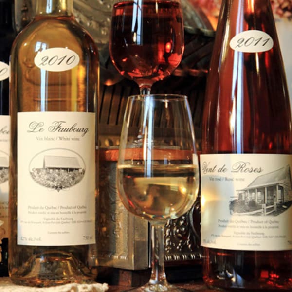 vignoble_du_faubourg_1