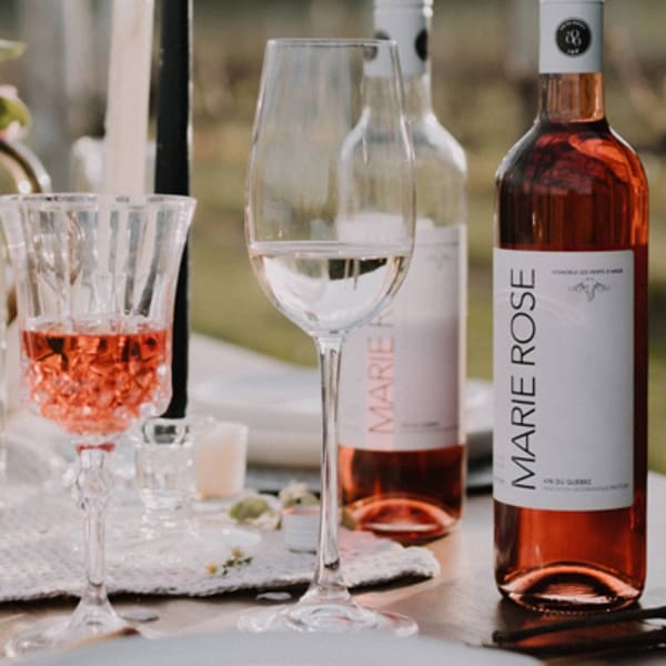 vignoble_et_microbrasserie_les_vents_dange_1