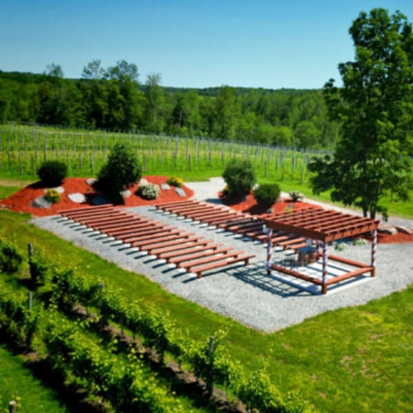 vignoble_la_halte_des_pelerins_1
