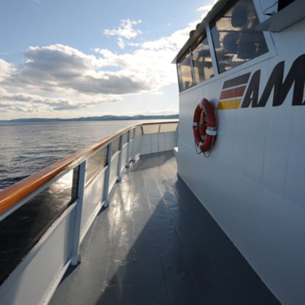 Voyages AML