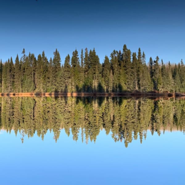 zec_kiskissink_1