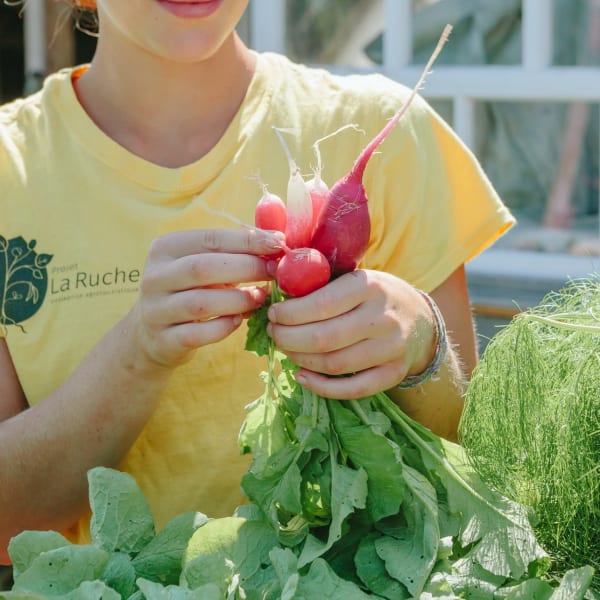 Projet La Ruche - An individual holding fresh radishes