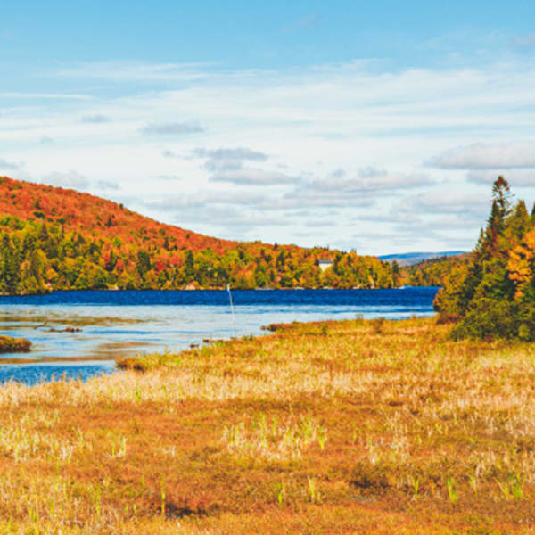 Fall landscape in Lanaudière region