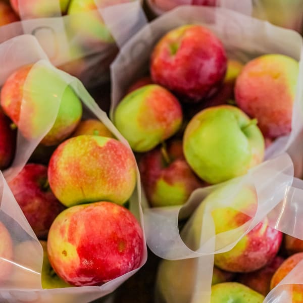 Verger Le Gros Pierre - Bags of apples