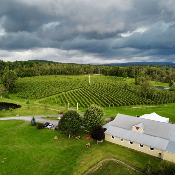 Vignoble Domaine Bresee