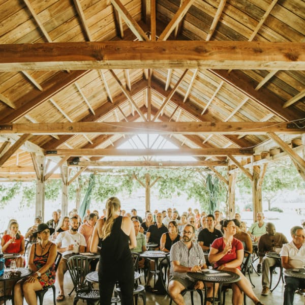 Domaine du Ridge : dégustation de vins