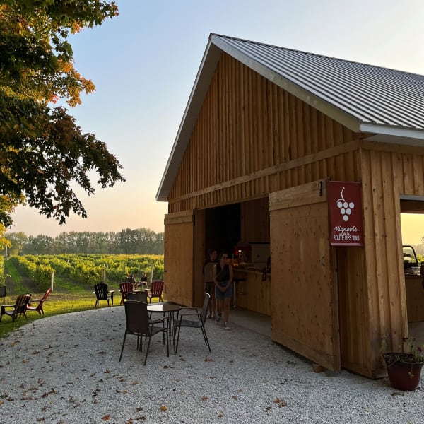 Vignoble Le Di-Vin