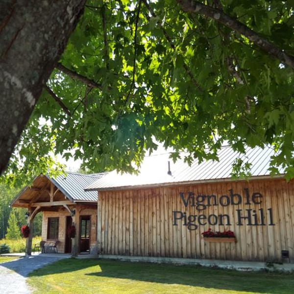 Vignoble Pigeon Hill