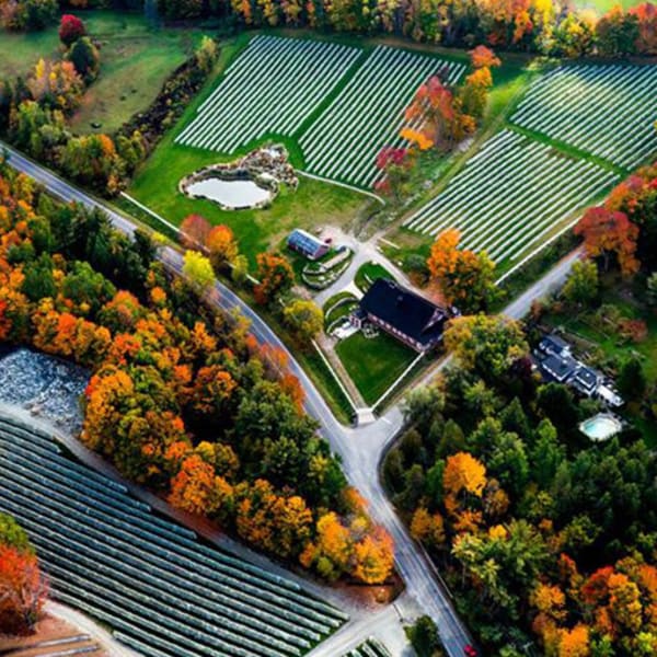Vignoble Sugar Hill