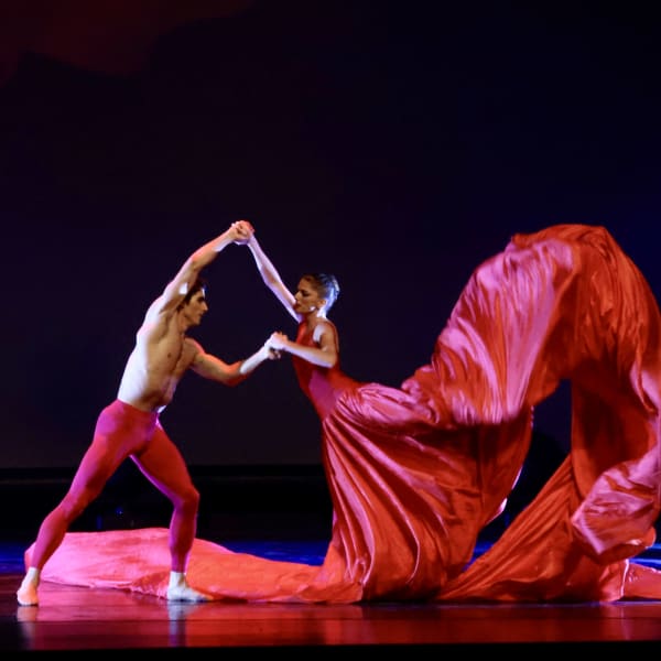 DANSENCORE, The International Dance Festival