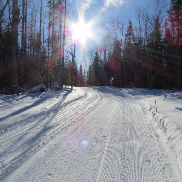 Trail in winter at Amiski Club de ski de fond & raquette.