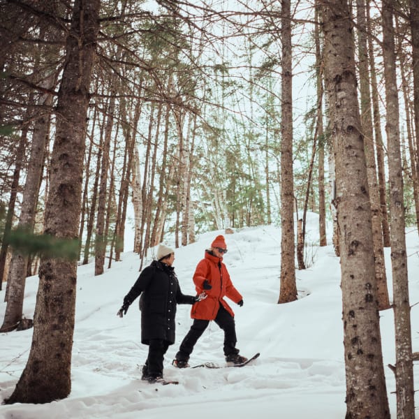 Two people are snowshoeing at the Arboretum de la Presqu’île Croft.