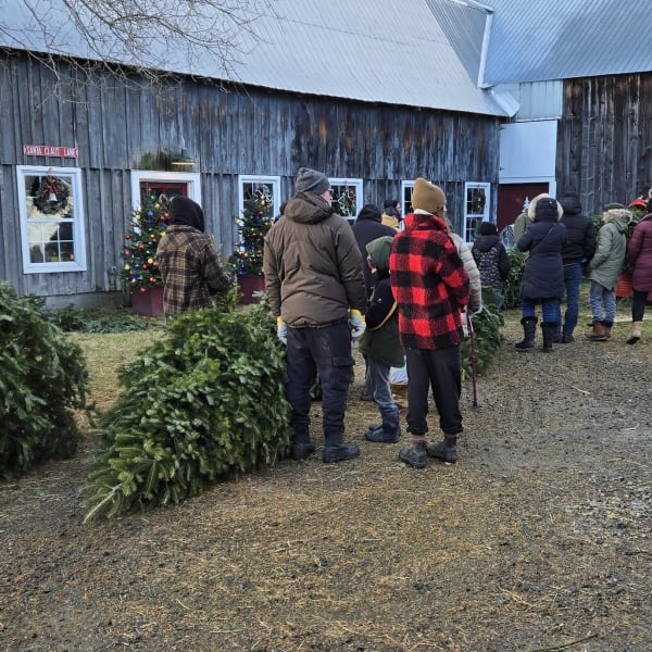 Christmas tree shop.