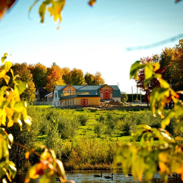 Bâtiment de l'Argouseraie Quénébro en automne.