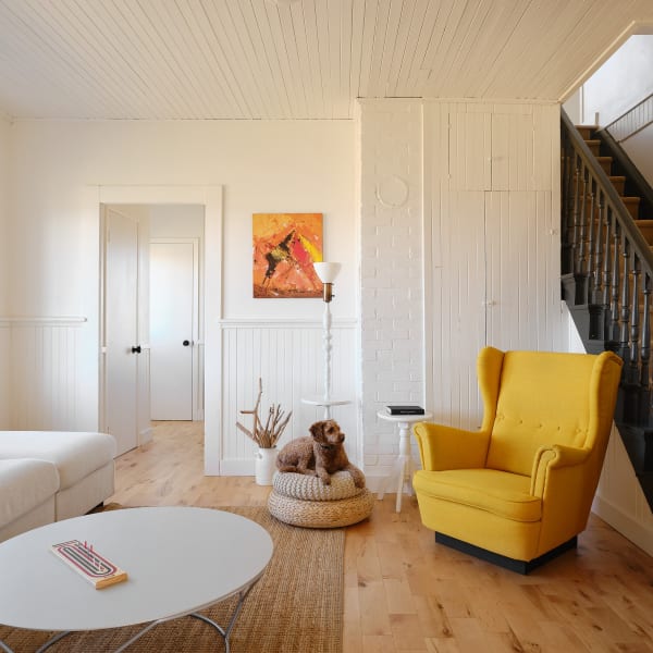 Blanche de l'Ouest - Living room with a dog