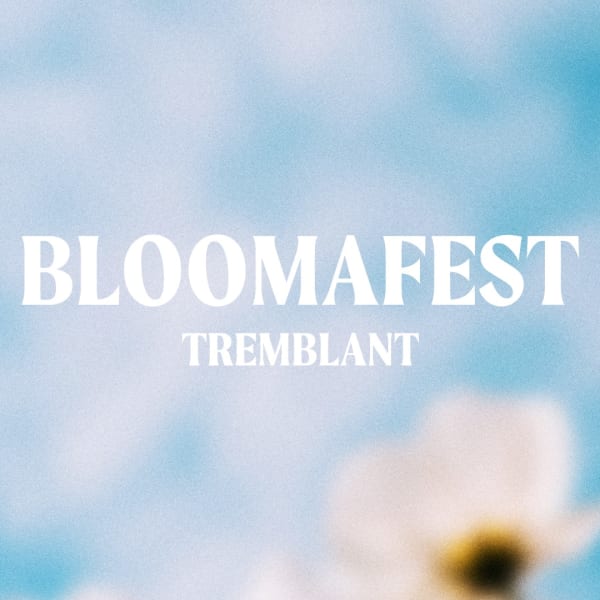Poster of the BLOOMAFEST festival.