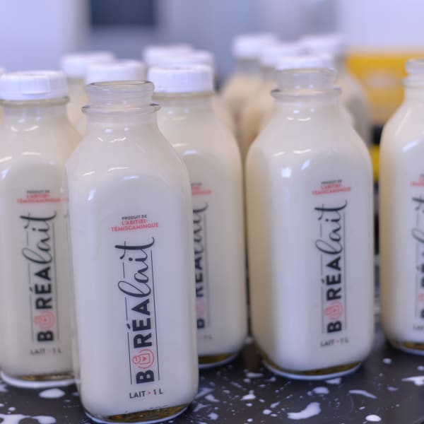 Milk bottles