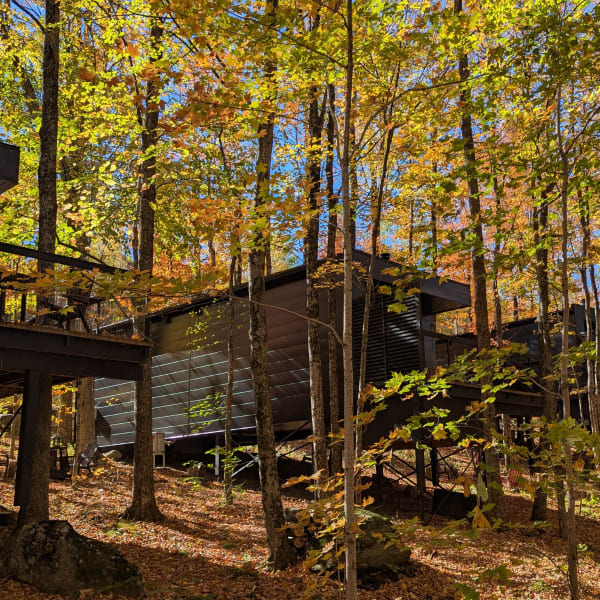 Cabin Sutton