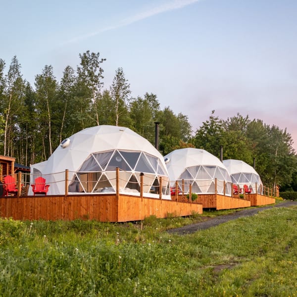 Three domes in the vineyard in summer. 
