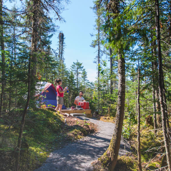 Camping du parc national des Monts-Valin