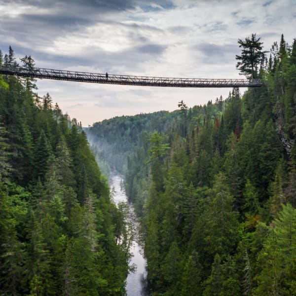 Suspended footbridge.