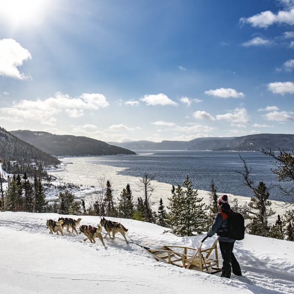 Centre de vacances Ferme 5 Étoiles