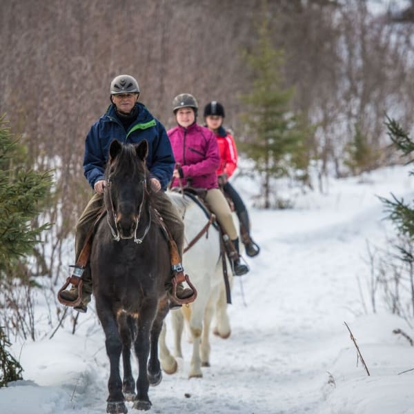 Winter horseback riding at the Centre équestre Mistouk.