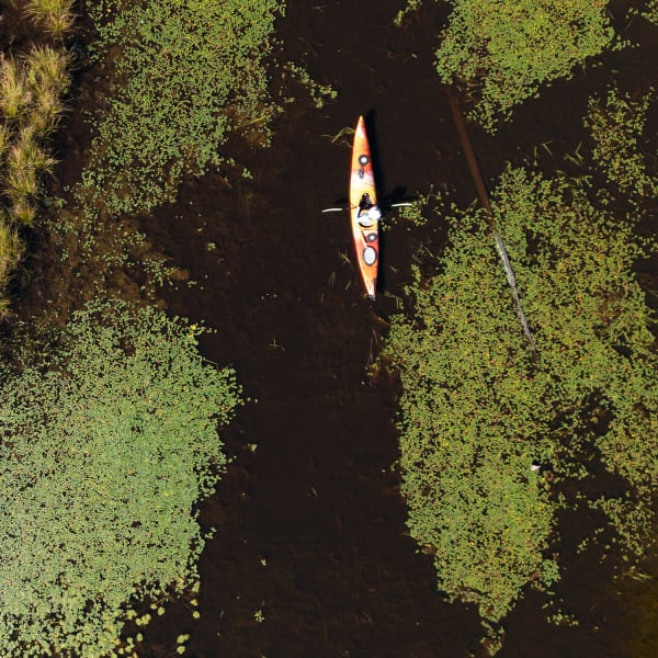 Circuit canotable des marais de la Fitzpatrick.