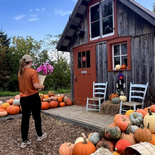 Display of squash and pumpkins, Pumpkins & Co.