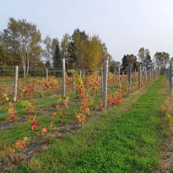 Domaine Côte du Nord Inc.