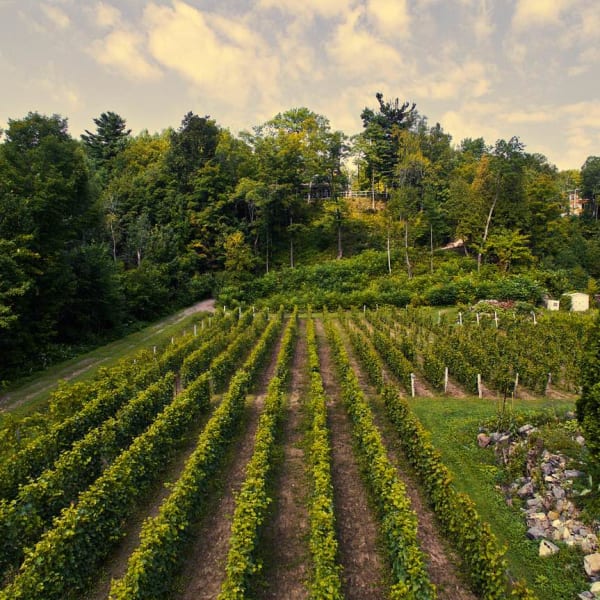 Domaine des 3 moulins