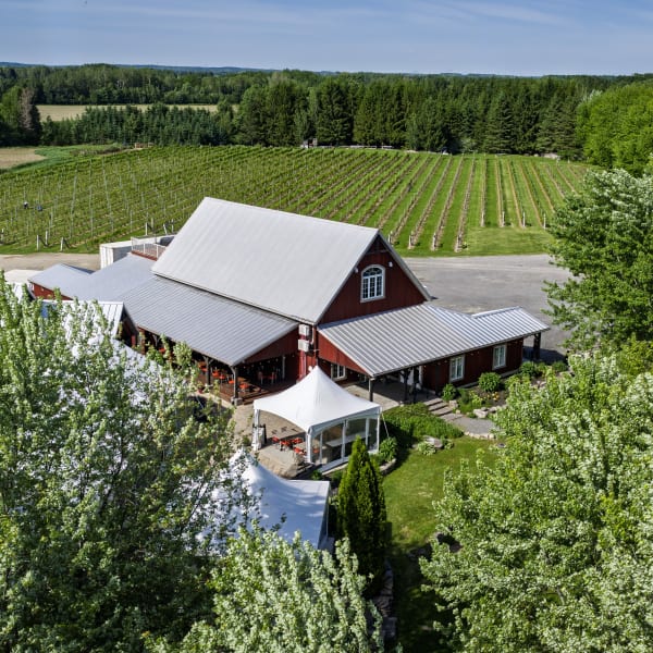 Domaine Gélinas Vineyard.