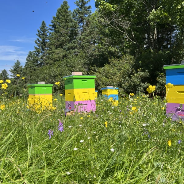 Douceurs des Appalaches: beehive