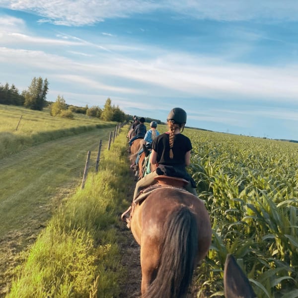 Randonnée à cheval à Écuries 1101.