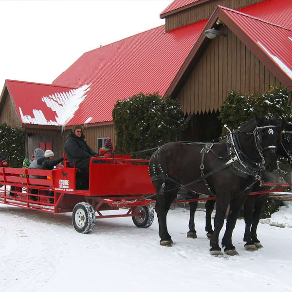 Carriage at the Érablière Au Toit Rouge.