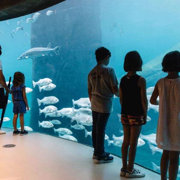 Biodôme – Espace pour la vie