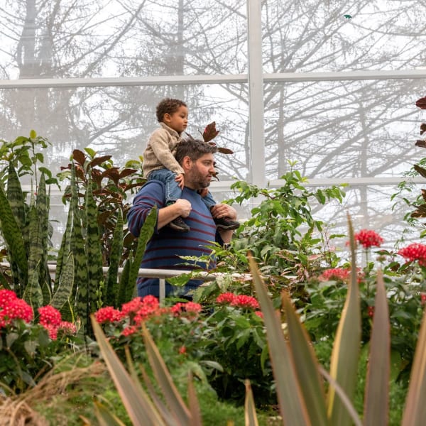 Insectarium - Espace pour la vie