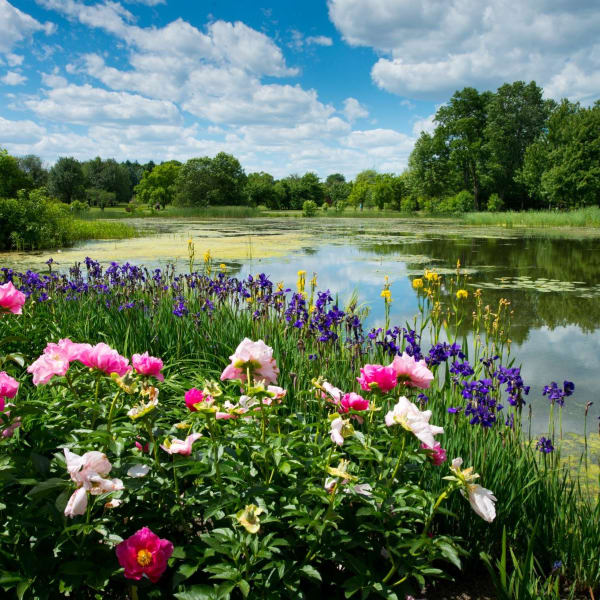Jardin botanique – Espace pour la vie