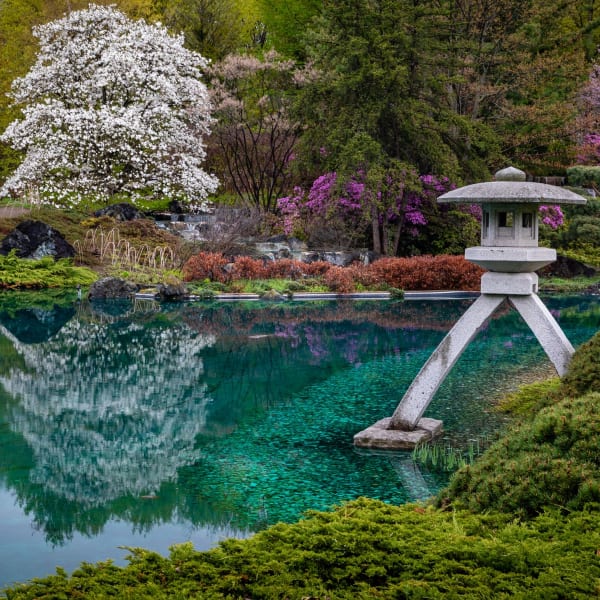 Jardin botanique – Espace pour la vie