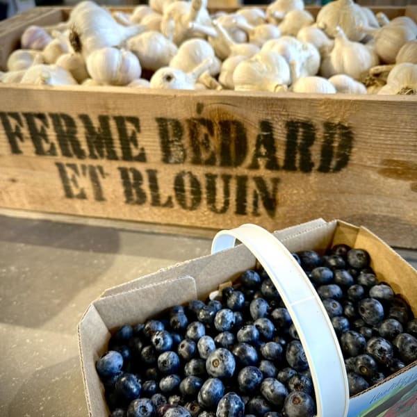 Garlic & blueberries, Ferme Bédard et Blouin.