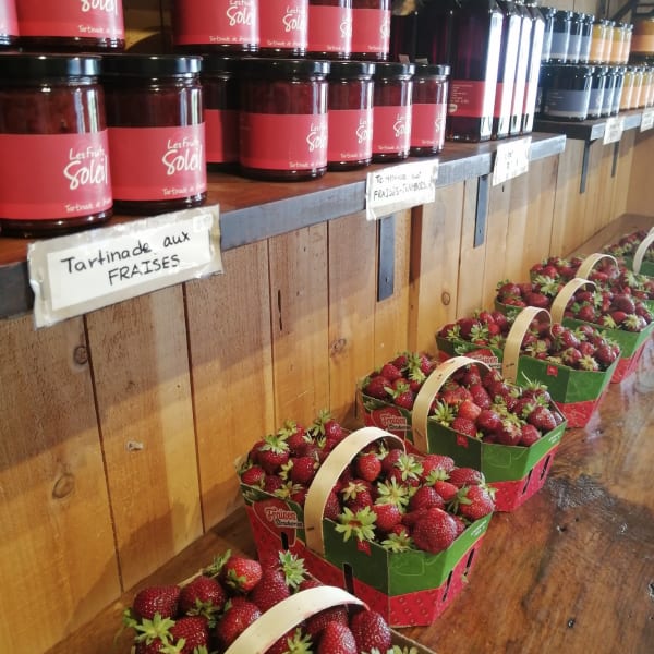 Fraises, Ferme Éthier.
