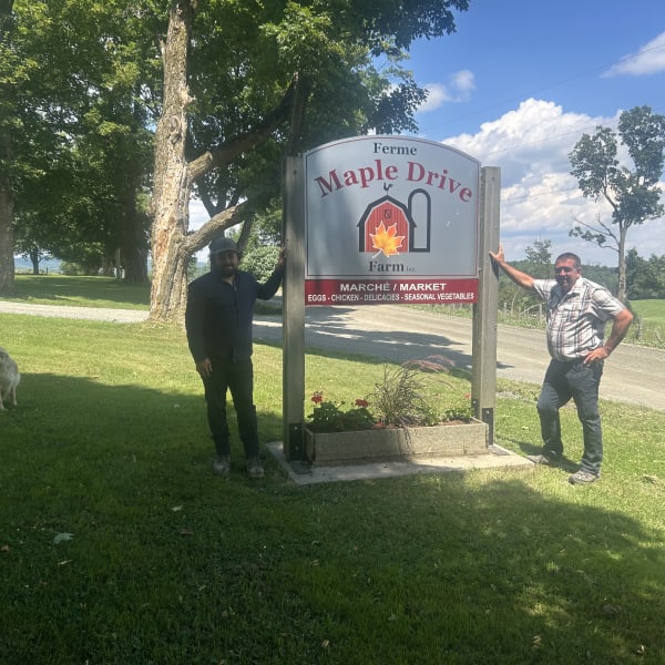 Maple Drive Farm.