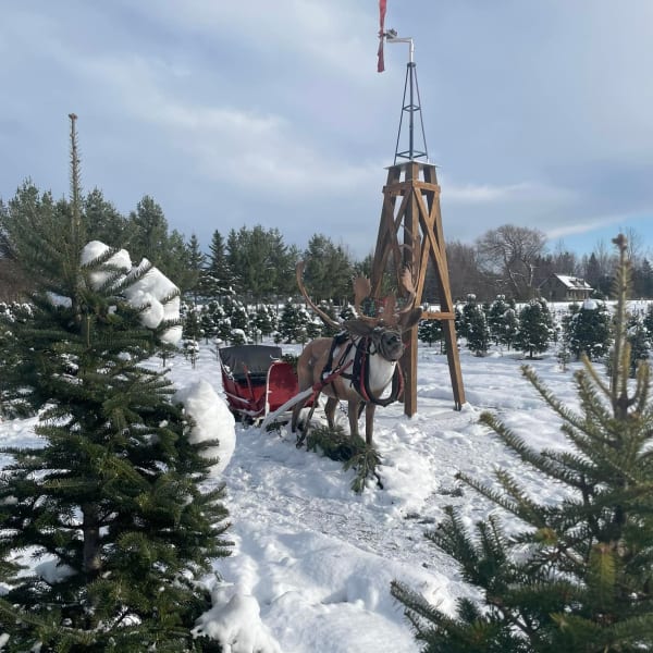 Ferme Noël d'Antan. 