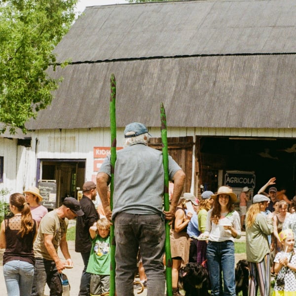 Festival de l'asperge