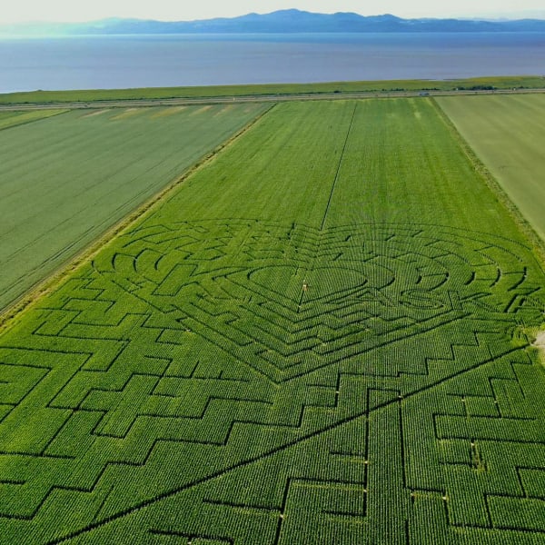 Vue aérienne du Grand labyrinthe Kamouraska.