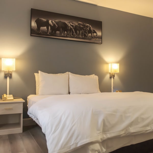 Room with double bed.
