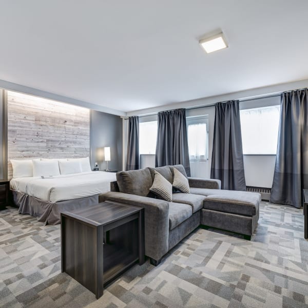 Hôtel Terrasse Royale - Studio