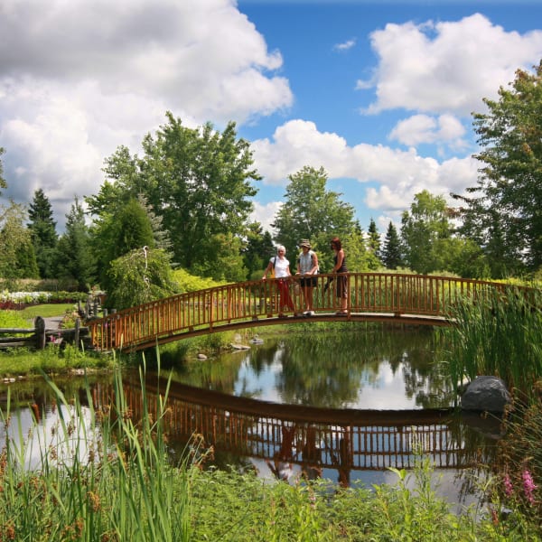 Jardin Scullion - Three women standing on a small bridge